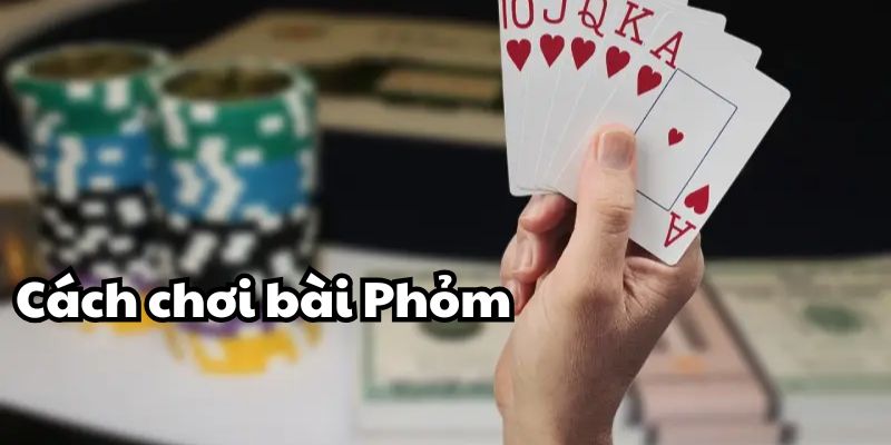 Hướng dẫn cách chơi bài phỏm giúp bạn giành chiến thắng 2 Cách chơi bài Phỏm chi tiết cho tân thủ