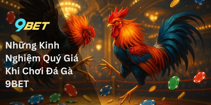 Những Kinh Nghiệm Quý Giá Khi Chơi Đá Gà 9BET